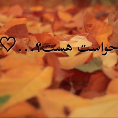 عکس حواست هست؟...♡