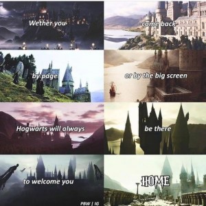 فرق پاتر هد ها با بقیه