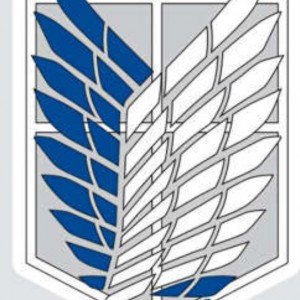 ʙᴇsᴛ ᴀɴɪᴍᴇ