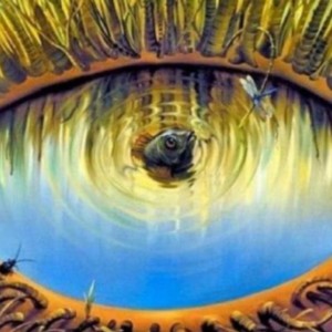 اول‌چی‌دیدی؟(شخصیت‌شناسی)🦑