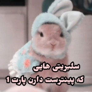 پینترست دارن؟!