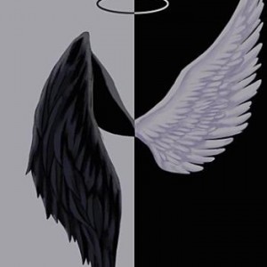 فکت همه چیز