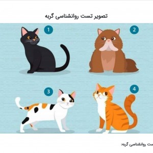 شخصیت‌شناسی‌گوربه-؟