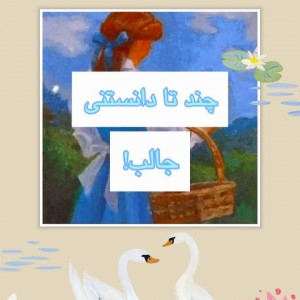 کاور
