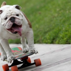 بیوگرافی من :)