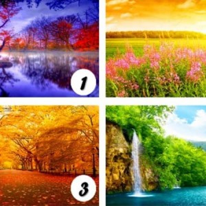 تست خودشناسی