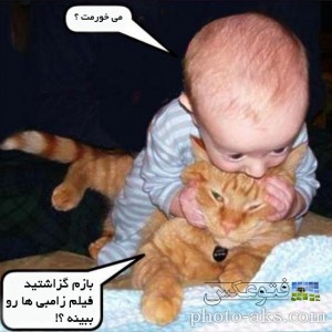 کاور