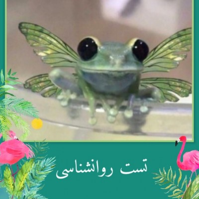 تست شخصیتی اعداد✅🌚🌸