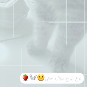 انواع طراح سوال تستی😐🍓