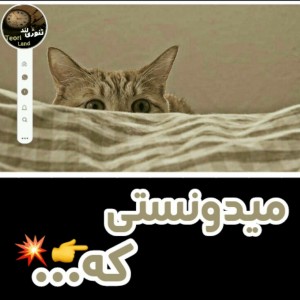 کاور