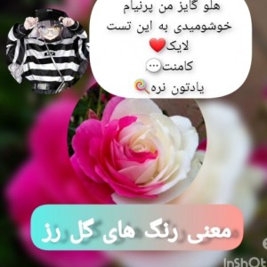 عکس معنی هر رنگ گل رز🌹👑