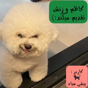 کاور
