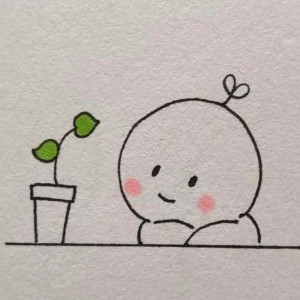 غذاهای هر کشور  🍔🍟🥪🌯🌮🍕