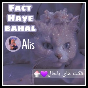 عکس فکت باحال
