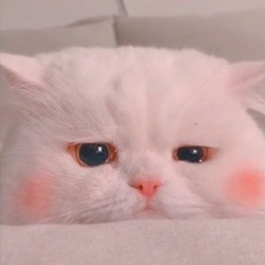 عکس داستان(کی پاپ)