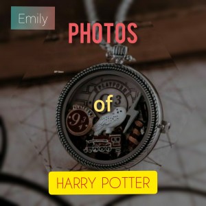Photos of Harry Potter