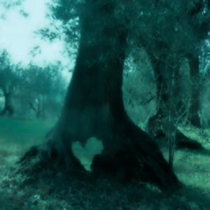 کاور