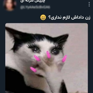 کاور