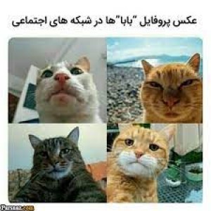 کاور