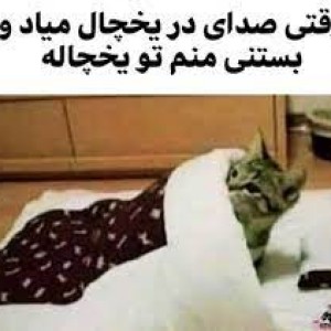 کاور
