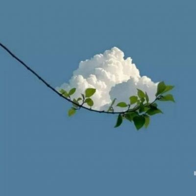 عکس تولد ایدل ها