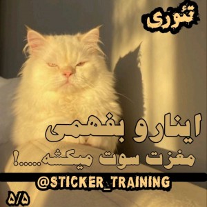 کاور