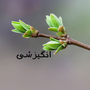 عکس انگیزشی