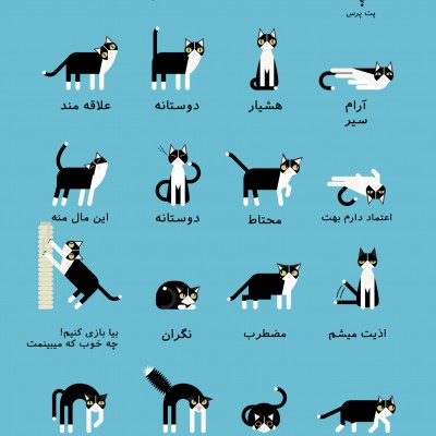 عکس آموزش زبان گربه ها