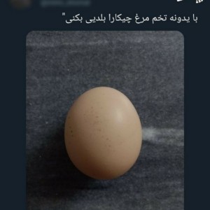 عکس توییت+تخم مرغ