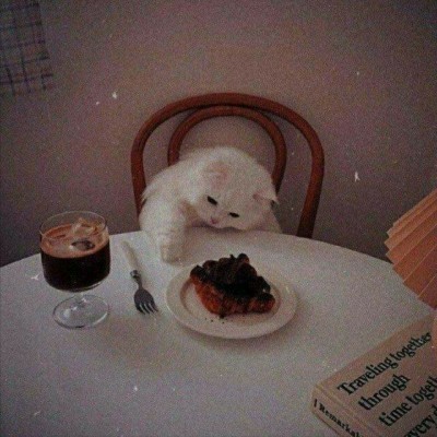 بیاین انیمیشن معرفی کنم