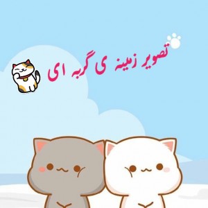 کاور