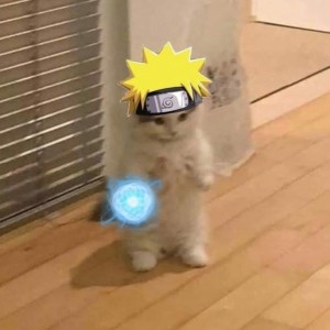 عکس کدوم پسر گیرت میاد؟