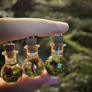 وایب جنگل میخوای¿'