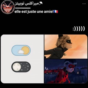 توییت طنز! (میراکلس لیدی‌باگ)