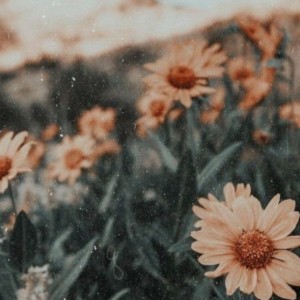 عکس سفارش فونت ( bts_army )