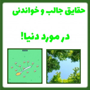 عکس حقایق جالب و خواندنی دنیا!