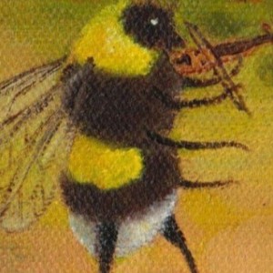 وایب‌تایپ‌ها؟🐸🍀