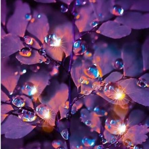 🖤عشق فراموش شدنی نیســت🖤