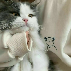 کاور