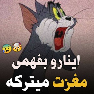 اینا رو بفهمی مغزت میترکه