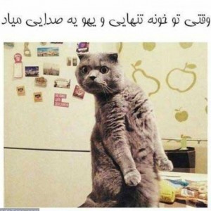 عکس عکسهای سمی پارت ۲😂