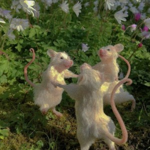 میم‌ام‌بی‌تی‌آی؛🐳🍀