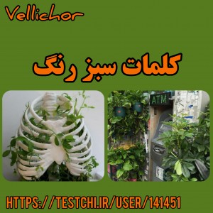 عکس کلمات‌سبز