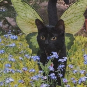 تایپ‌ها‌به‌عنوان‌والدین•🐳🍀