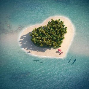 ویژگی ماه های سال 🍓🐦 پارت دو