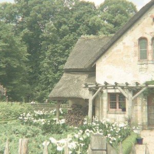 ‹چه‌تایمی‌نباید‌درس‌بخونیم؟›🍵