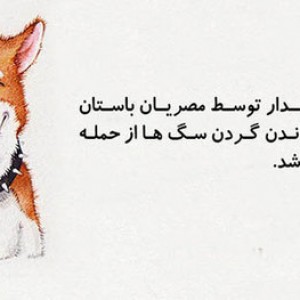 کاور