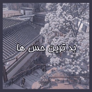 کاور