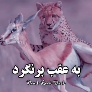 عکس به عقب برنگرد💚😌