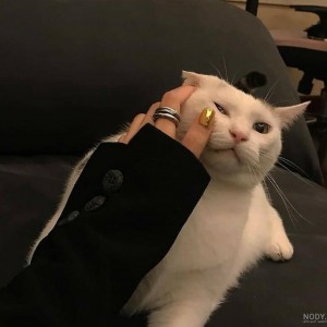 تایپای شخصیتی :)